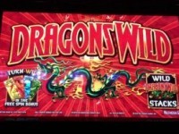Dragons Wild