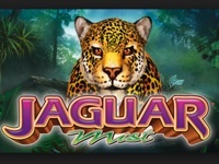 Jaguar Mist