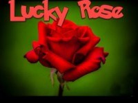 Lucky Rose