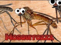Mosquitozzz