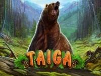 Taiga