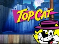 Top Cat