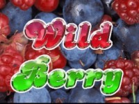Wild Berry (5 reels)