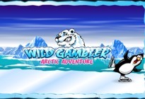 Wild Gambler 2 Arctic Adventure