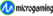 Microgaming