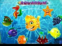 Aquarium