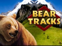 Bear Tracks