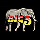 Big 5