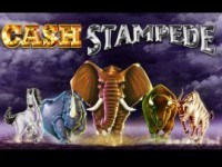 Cash Stampede