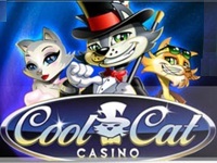 Cool Cat Casino