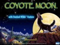 Coyote Moon