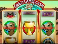 Crazy Camel Cash