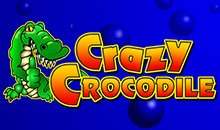 Crazy Crocs