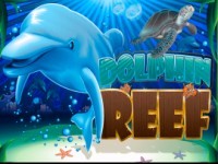 Dolphin Reef