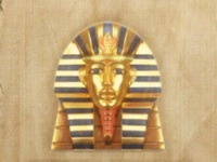 Egyptian Wilds