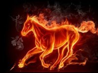 Fire Horse