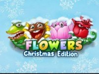 Flowers Christmas Edition