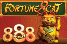 Fortune 8 Cat