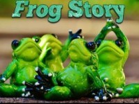 Frog Story