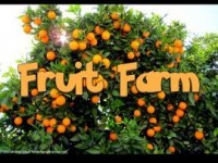 Fruit Farm