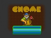 Gnome