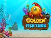 Golden Fish Tank