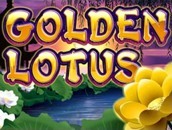 Golden Lotus