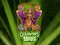 Goldwyns Fairies