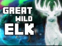 Great Wild Elk