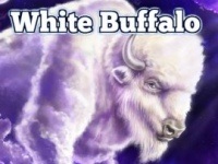 Legend Of The White Buffalo