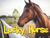 Lucky Horse