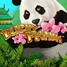 Lucky Panda