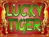 Lucky Tiger