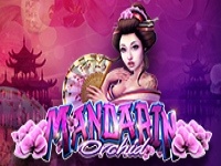 Mandarin Orchid