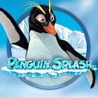 Penguin Splash