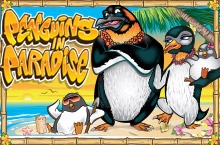 Penguins in Paradise