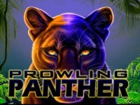 Prowling Panther