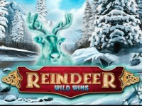 Reindeer Wild Wins