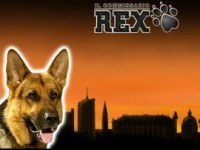 Rex