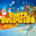 Santa Surprise