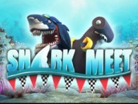 Shark Meet