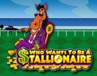 Stallionaire