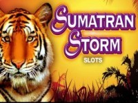 Sumatran Storm