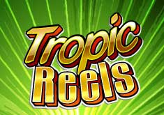 Tropic Reels