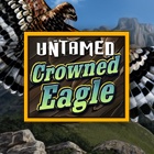 Untamed Crowned Eagle