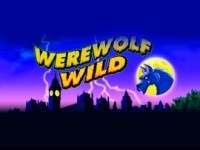 Werewolf Wild