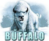 White Buffalo