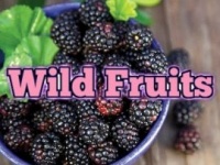 Wild Fruits