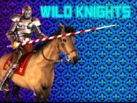 Wild Knights