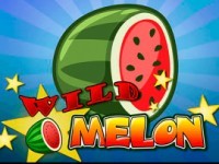 Wild Melon